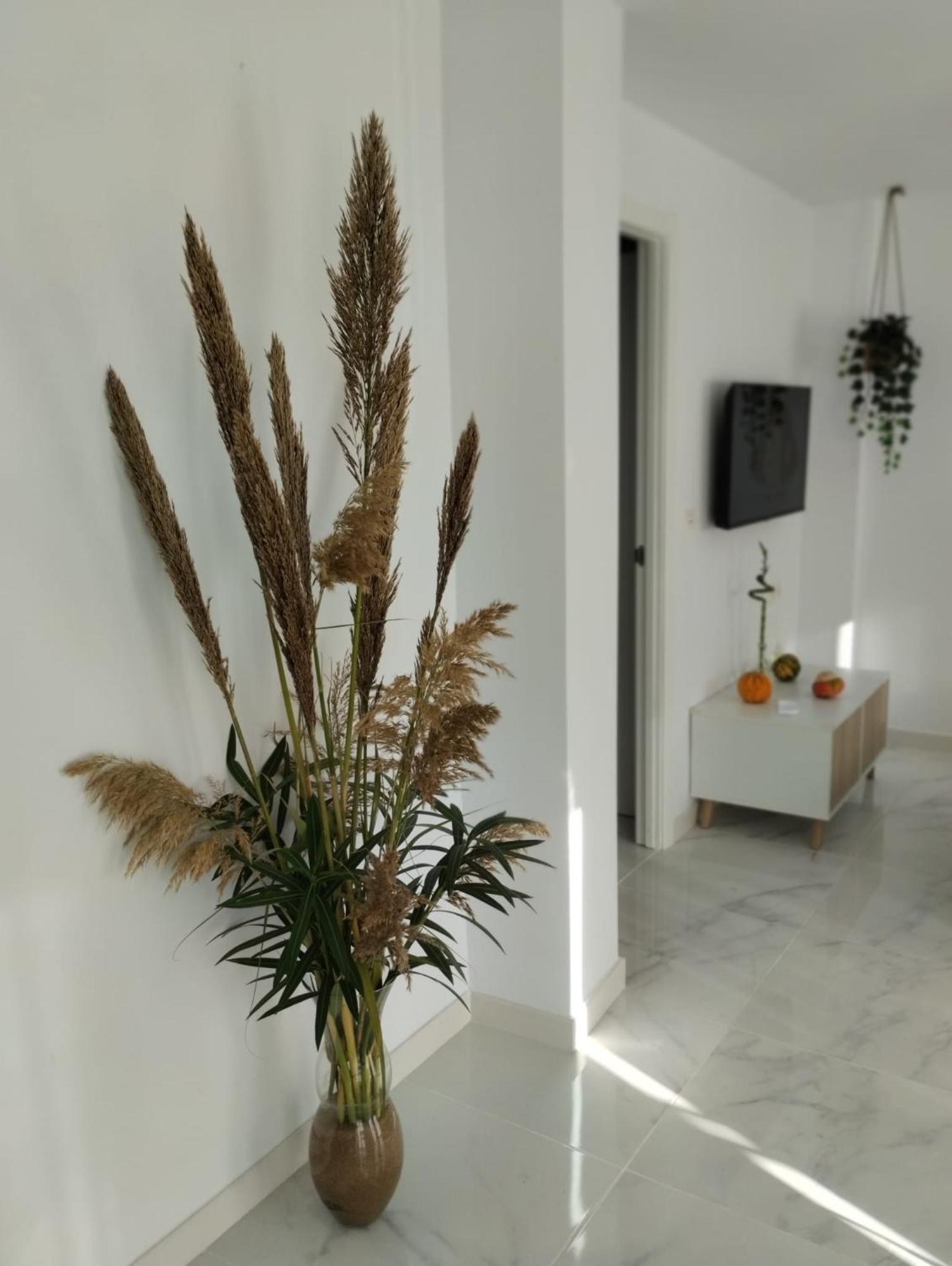 Apartamento Sun Gate ヘレス エクステリア 写真